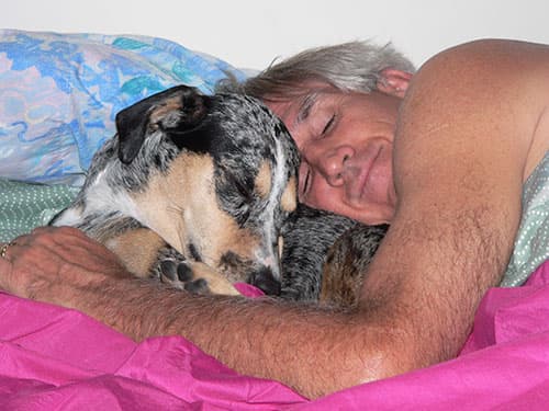 Pets